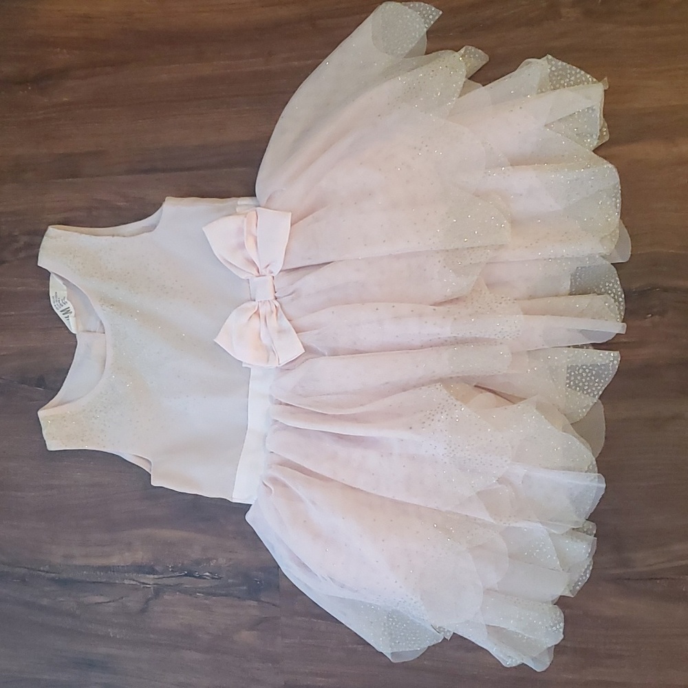 Girl's Light Pink & Gold Tule dress